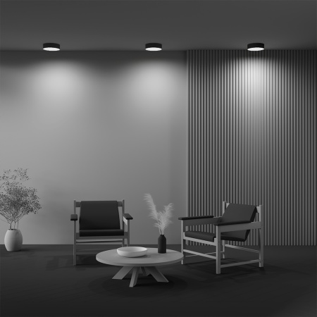 Светильник накладной RONDO 24W Black 4000K | Ø220x60mm 